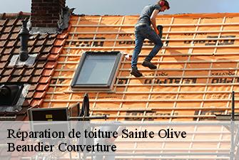 Réparation de toiture  sainte-olive-01330 Beaudier Couverture 