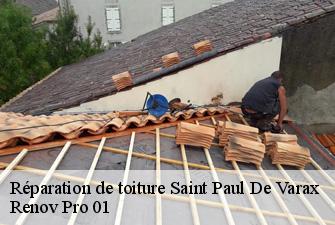 Réparation de toiture  saint-paul-de-varax-01240 Renov Pro 01