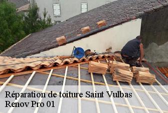 Réparation de toiture  saint-vulbas-01150 Renov Pro 01