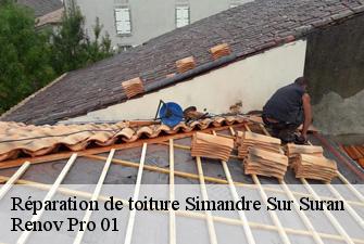 Réparation de toiture  simandre-sur-suran-01250 Renov Pro 01