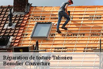 Réparation de toiture  talissieu-01510 Beaudier Couverture 