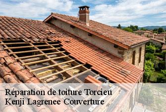 Réparation de toiture  torcieu-01230 Kenji Lagrenee Couverture