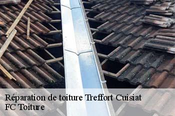 Réparation de toiture  treffort-cuisiat-01370 