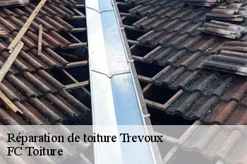 Réparation de toiture  trevoux-01600 FC Toiture