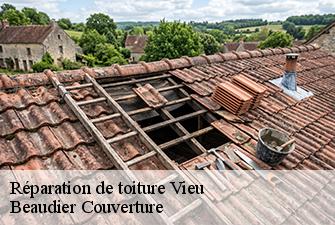 Réparation de toiture  vieu-01260 Beaudier Couverture 