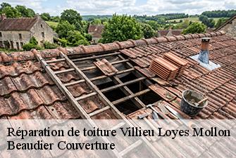 Réparation de toiture  villieu-loyes-mollon-01800 Beaudier Couverture 