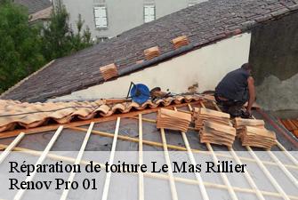 Réparation de toiture  le-mas-rillier-01700 Renov Pro 01