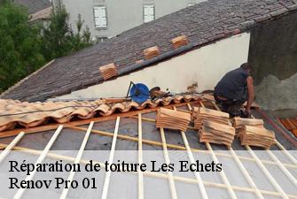 Réparation de toiture  les-echets-01700 Renov Pro 01