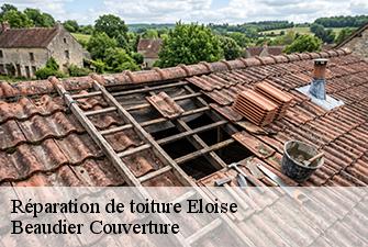 Réparation de toiture  eloise-01200 Beaudier Couverture 