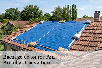 Bachage de toiture 01 Ain  Beaudier Couverture 