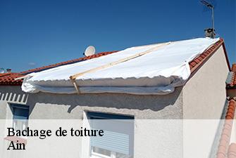 Bachage de toiture 01 Ain  Renov Pro 01