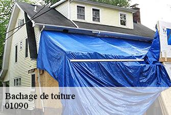 Bachage de toiture  amareins-01090 Renov Pro 01
