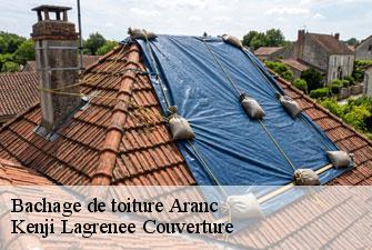 Bachage de toiture  aranc-01110 Kenji Lagrenee Couverture