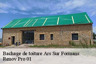 Bachage de toiture  ars-sur-formans-01480 Renov Pro 01