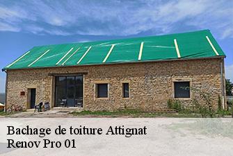 Bachage de toiture  attignat-01340 Renov Pro 01