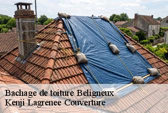 Bachage de toiture  beligneux-01360 Kenji Lagrenee Couverture