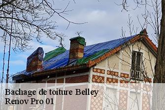 Bachage de toiture  belley-01300 Renov Pro 01