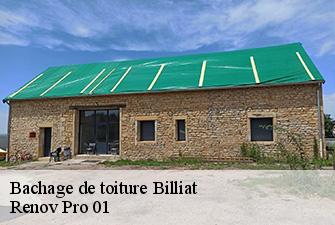 Bachage de toiture  billiat-01200 Renov Pro 01