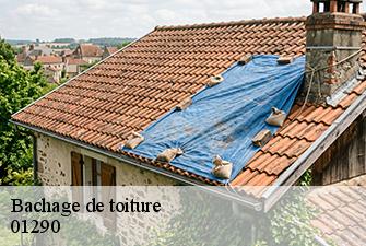 Bachage de toiture  biziat-01290 Beaudier Couverture 