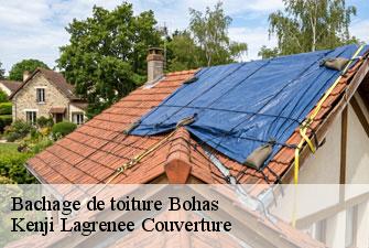 Bachage de toiture bohas-01250 Kenji Lagrenee Couverture