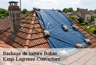 Bachage de toiture bohas-01250 Kenji Lagrenee Couverture