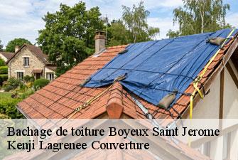 Bachage de toiture boyeux-saint-jerome-01640 Kenji Lagrenee Couverture