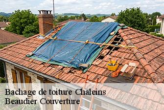 Bachage de toiture  chaleins-01480 Beaudier Couverture 