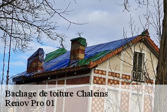 Bachage de toiture  chaleins-01480 Renov Pro 01