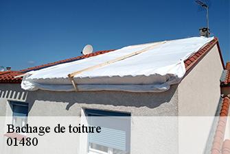 Bachage de toiture  chaleins-01480 Renov Pro 01
