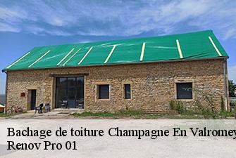 Bachage de toiture  champagne-en-valromey-01260 Renov Pro 01