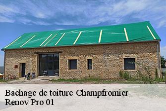 Bachage de toiture  champfromier-01410 Renov Pro 01