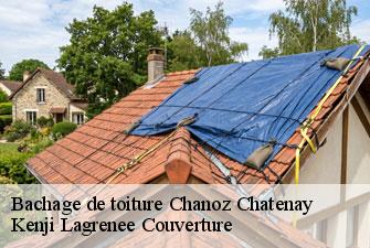 Bachage de toiture  chanoz-chatenay-01400 Kenji Lagrenee Couverture