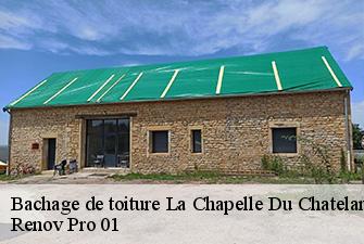 Bachage de toiture  la-chapelle-du-chatelard-01240 Renov Pro 01