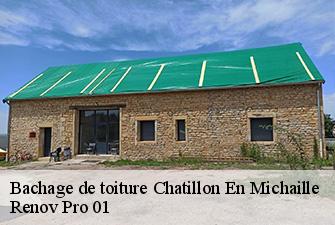 Bachage de toiture  chatillon-en-michaille-01200 Renov Pro 01