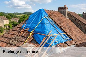 Bachage de toiture  civrieux-01390 Kenji Lagrenee Couverture