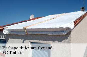 Bachage de toiture  conand-01230 FC Toiture