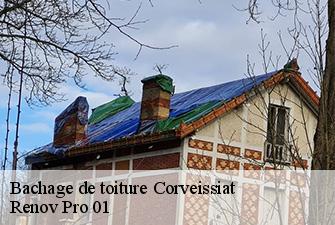 Bachage de toiture  corveissiat-01250 Renov Pro 01