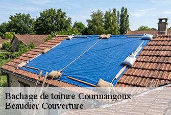 Bachage de toiture  courmangoux-01370 Beaudier Couverture 