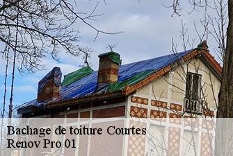 Bachage de toiture  courtes-01560 Renov Pro 01