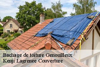 Bachage de toiture genouilleux-01090 Kenji Lagrenee Couverture