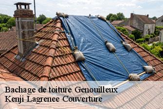 Bachage de toiture genouilleux-01090 Kenji Lagrenee Couverture