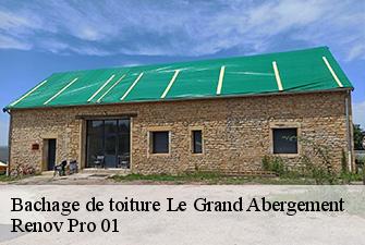Bachage de toiture  le-grand-abergement-01260 Renov Pro 01