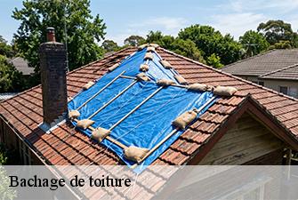 Bachage de toiture  guereins-01090 Beaudier Couverture 