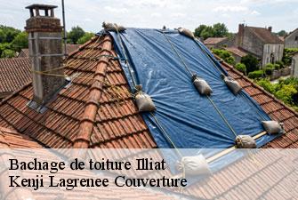Bachage de toiture  illiat-01140 Kenji Lagrenee Couverture