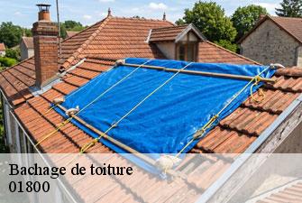 Bachage de toiture joyeux-01800 Kenji Lagrenee Couverture