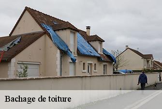 Bachage de toiture  lavours-01350 Renov Pro 01