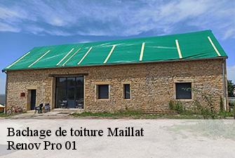 Bachage de toiture  maillat-01430 Renov Pro 01