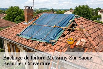 Bachage de toiture  messimy-sur-saone-01480 Beaudier Couverture 