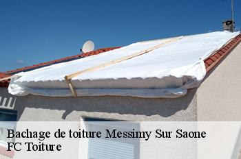 Bachage de toiture  messimy-sur-saone-01480 FC Toiture