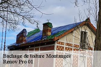 Bachage de toiture  montanges-01200 Renov Pro 01